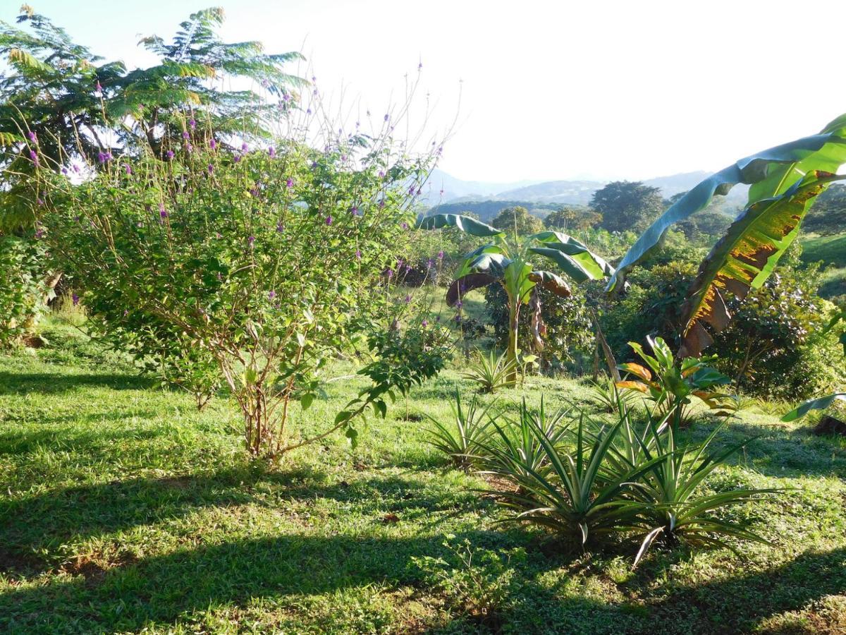 Hostal Casa Las Lajas Las Lajas  Kültér fotó